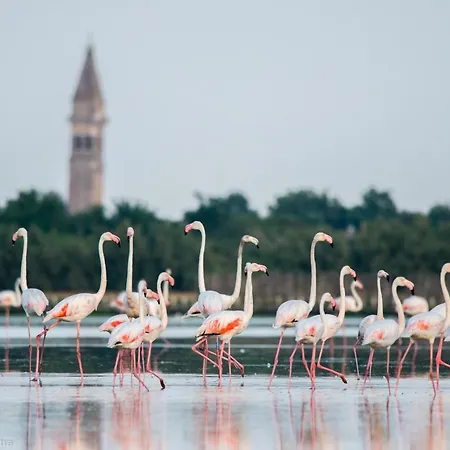 Feriehus Bruna Holidays House Burano