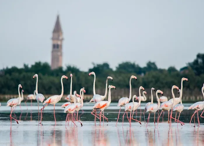 Сasa de vacaciones Bruna Holidays House Burano